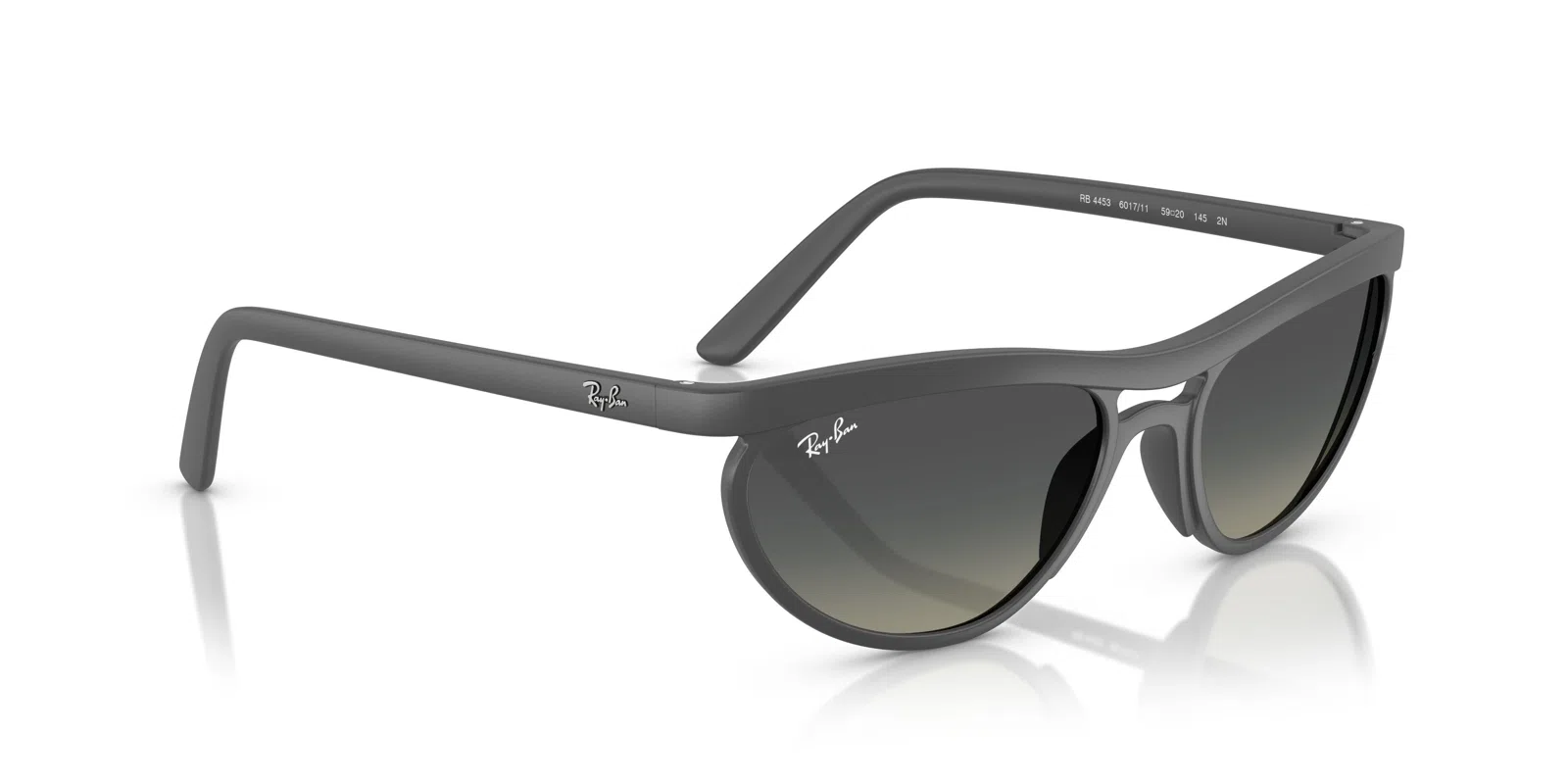 Ray-Ban 4453 Sunglasses - view 15